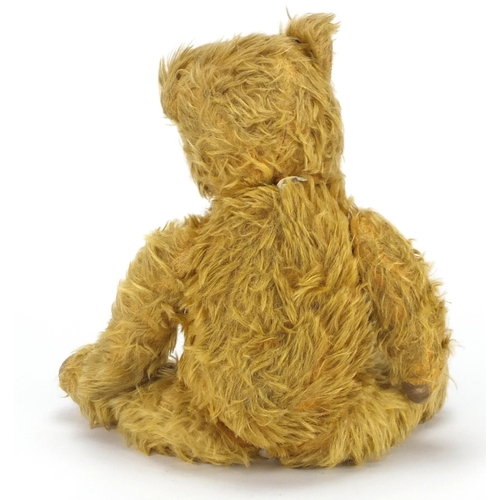 557 - Vintage golden straw filled teddy bear, with articulated limbs and glass bead eyes, 38cm high
