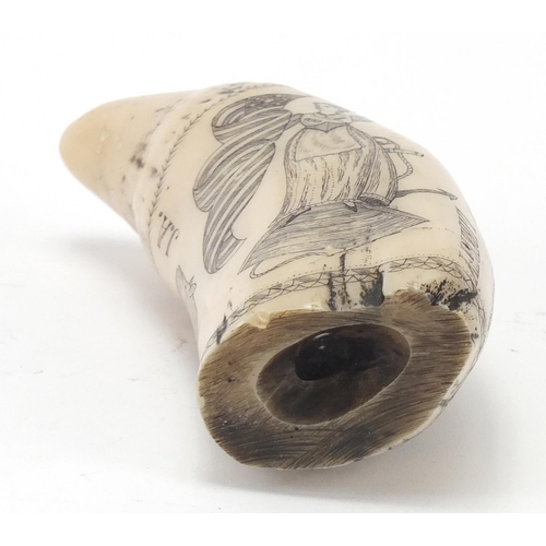 674 - Scrimshaw style tooth, 15cm in length