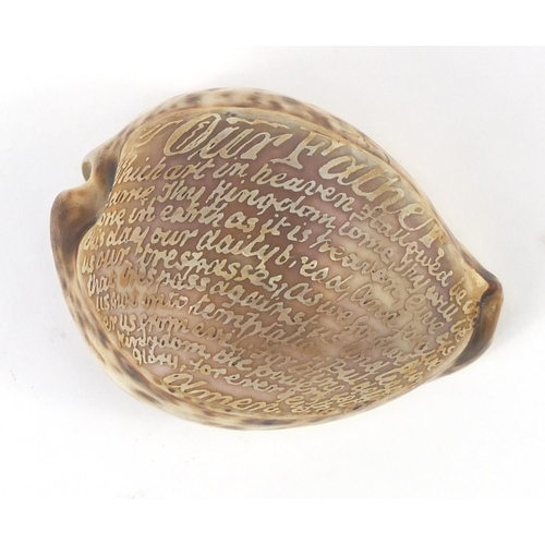 668 - 19th century Cowrie shell carved with The Lords Prayer, 8.5cm wide