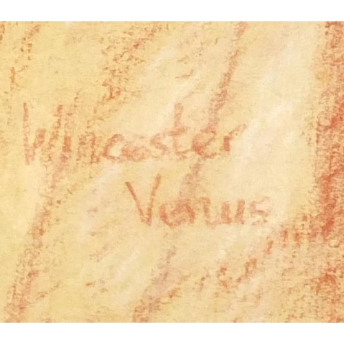 2074 - Portrait of a nude female, red chalk, bearing a signature possibly Winaster Venus and inscription ve... 
