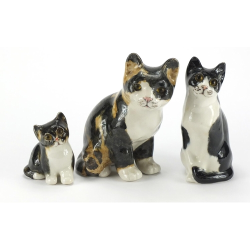 2056 - Three Winstanley pottery seated cats with beaded eyes, the largest 21.5cm high