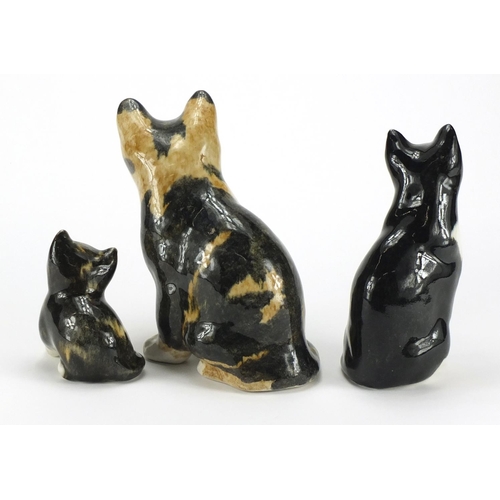 2056 - Three Winstanley pottery seated cats with beaded eyes, the largest 21.5cm high