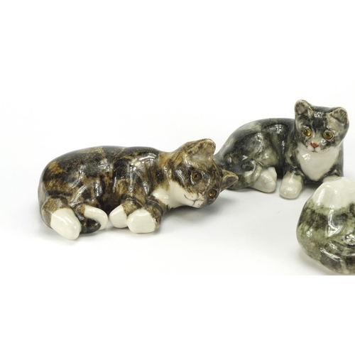 2250A - Three Winstanley pottery seated cats with beaded eyes, the largest 20cm wide