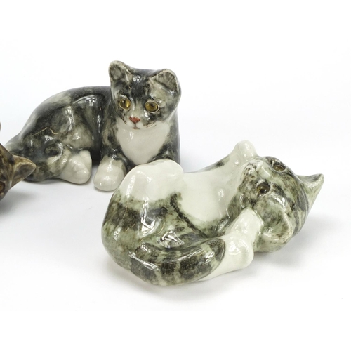 2250A - Three Winstanley pottery seated cats with beaded eyes, the largest 20cm wide