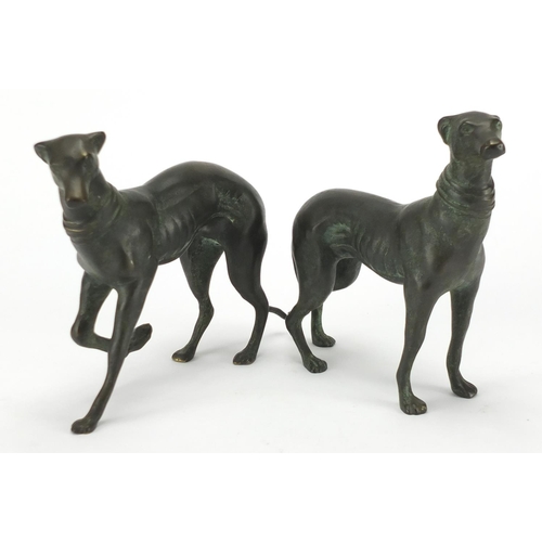 2104 - Two patinated bronze greyhounds, the largest 25cm in length