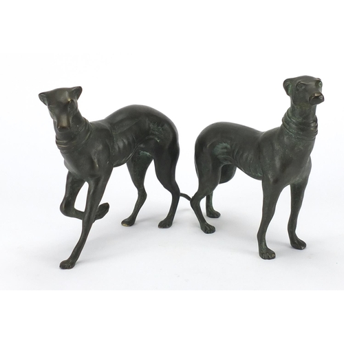 2104 - Two patinated bronze greyhounds, the largest 25cm in length