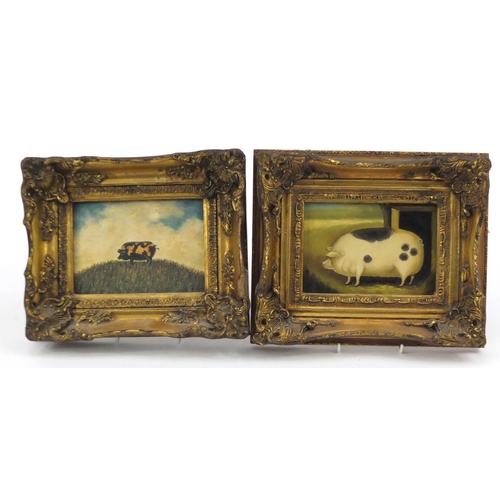 444 - Prize pigs, two prints with ornate gilt frames, overall 29cm x 24cm