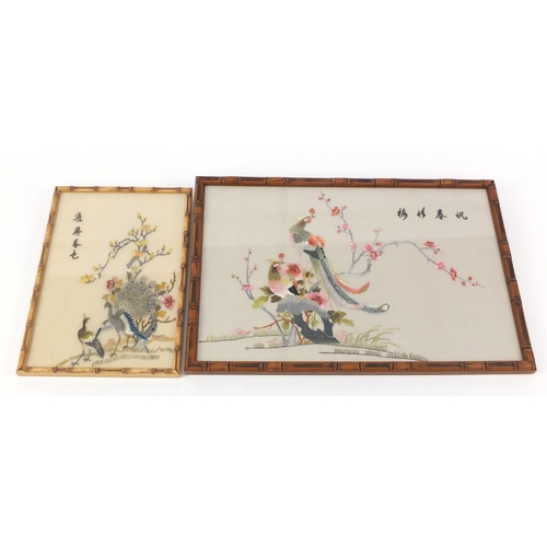 723 - Two Chinese silk embroideries of birds of paradise, framed, the largest 54cm x 35cm