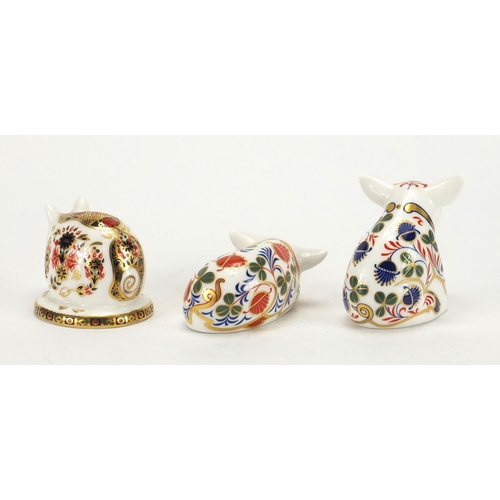 2240 - Three Royal Crown Derby piglet paperweights, with stoppers and boxes, the largest 6.5cm high