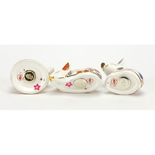 2240 - Three Royal Crown Derby piglet paperweights, with stoppers and boxes, the largest 6.5cm high
