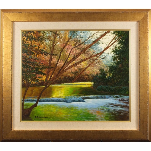 2034 - Antonio Dominguez - Tree before river, oil on canvas, mounted and framed, 54.5cm x 45cm
