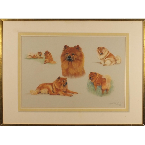 2157 - Davina Owen 1983 - Study of dogs/chows, pastel, mounted and framed, 63.5cm x 44cm