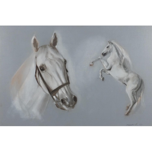 211 - Alexandra M - Portrait of a horse, watercolour on card, mounted, 59cm x 39cm