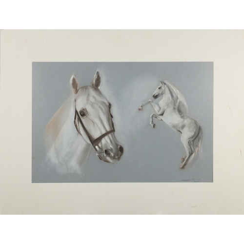 211 - Alexandra M - Portrait of a horse, watercolour on card, mounted, 59cm x 39cm