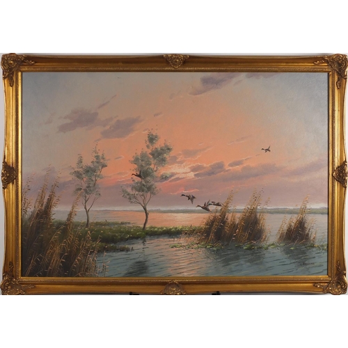 241 - G. Brouwer - Mallards ducks in flight over a lake, oil on canvas, framed, 90cm x 60cm