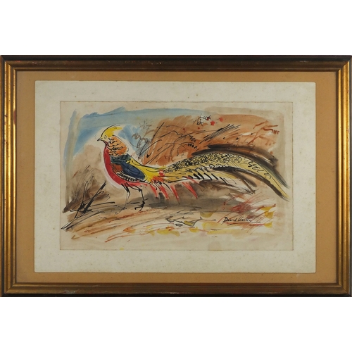 2153 - David Koster - Golden Pheasant, ink and watercolour, label verso, mounted and framed, 45.5cm x 29cm