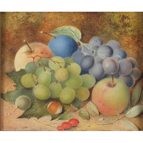 428 - J. Gray - Still life fruit, watercolour on card, inscribed verso, framed, 20cm x 17cm