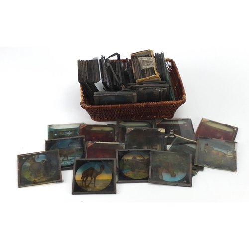 861 - Collection of coloured magic lantern slides