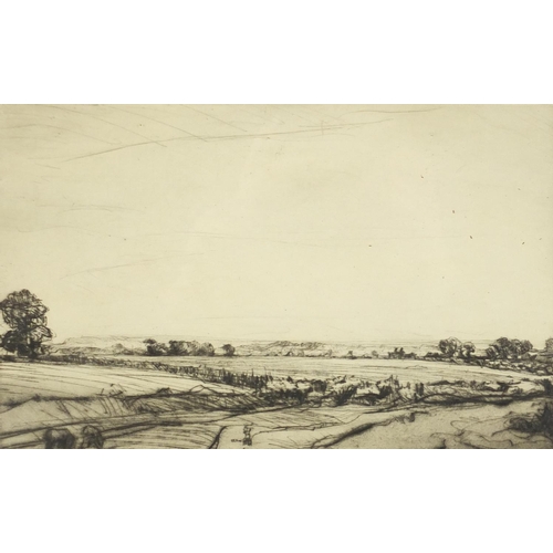 1420 - Anthony Gross - Rural landscape, pencil signed etching, indistinctly titled, mounted and framed, 27c... 