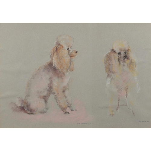 1216 - John Skeaping 1977 - Two poodles, pastel, mounted and framed, 65.5cm x 45cm