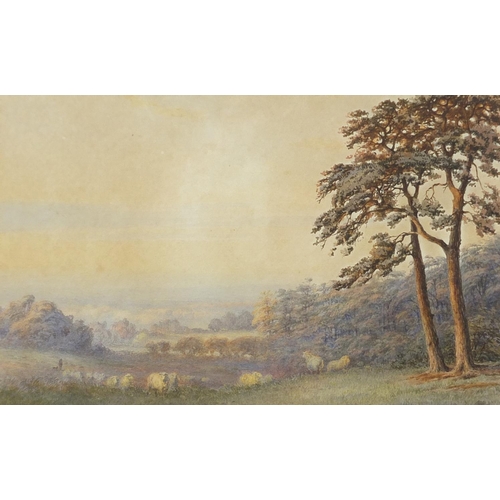 1239 - Rural landscape with a flock of sheep, 19th century English school watercolour, mounted and framed, ... 