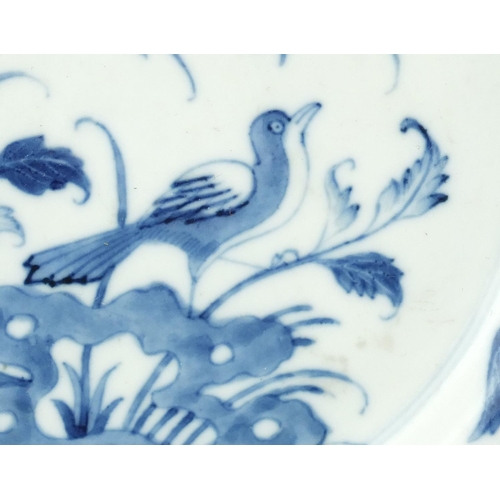453 - Chinese blue and white porcelain plate, hand painted with a bird of paradise amongst flowers, six fi... 