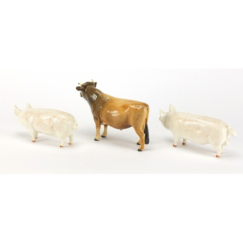 2563 - Two Beswick Champion pigs and a Champion Coy Boy Jersey Cow, the largest 11cm high