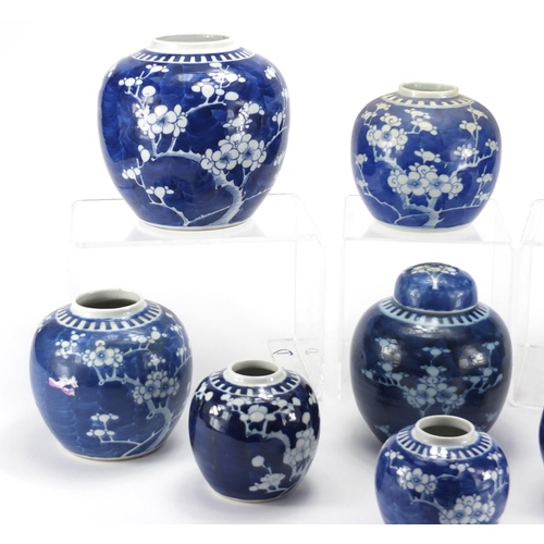 464 - Nine Chinese blue and white porcelain ginger jars, two with covers, each with blue ring marks to the... 