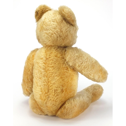 145 - Old golden straw filled teddy bear with beaded eyes, growler and jointed limbs, 56cm in length