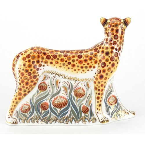 2523 - Royal Crown Derby cheetah daddy paperweight with gold colour stopper, 17.5cm in length
