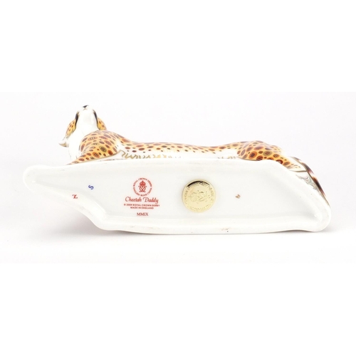 2523 - Royal Crown Derby cheetah daddy paperweight with gold colour stopper, 17.5cm in length