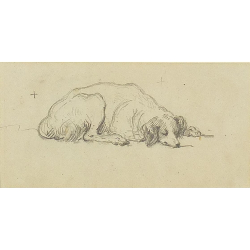 1155 - George Chinnery - Sleeping dog, pencil sketch on paper, label verso, mounted and framed, 17cm x 8.5c... 