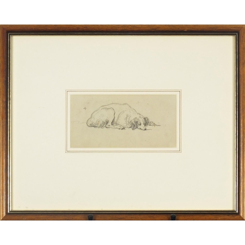 1155 - George Chinnery - Sleeping dog, pencil sketch on paper, label verso, mounted and framed, 17cm x 8.5c... 