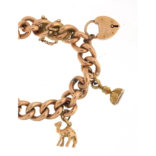 921 - Victorian 15ct rose gold bracelet with three gold charms and a George III half sovereign, approximat... 
