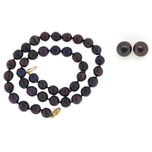 939 - Tahitian pearl necklace with 14ct gold clasp and a pair of silver gilt earrings, the necklace 44cm i... 