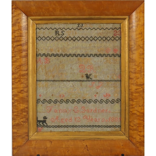 53 - 19th century needlework sampler by Fanny E Gardner aged 12 years 1889, mounted and housed in a birds... 