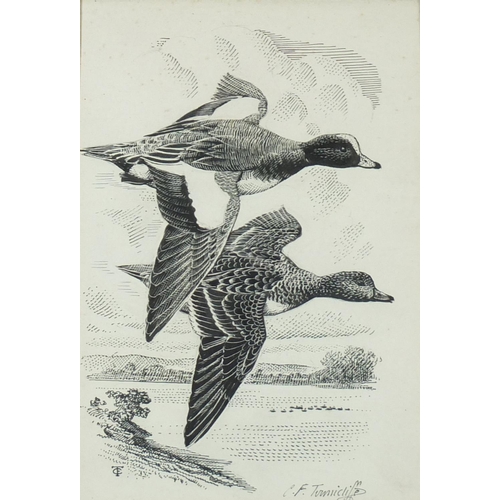 1162 - Charles Frederick Tunnicliffe - Ducks in flight and resting, set of four ink drawings mounted as one... 
