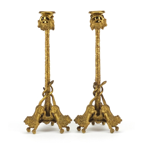 12 - Pair of 19th century gilt bronze candlesticks chased with leaves having ram masks on lion bases, eac... 