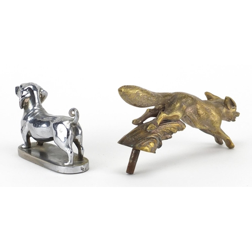 127 - Two vintage car mascots comprising a chrome dachshund and leaping fox, the largest 13.5cm wide