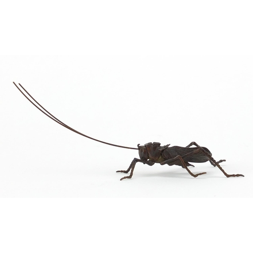 573 - Japanese patinated bronze cricket with articulated legs and antennas, 12cm in length