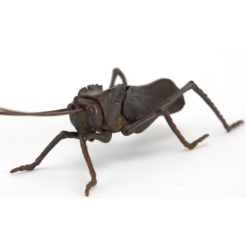 573 - Japanese patinated bronze cricket with articulated legs and antennas, 12cm in length