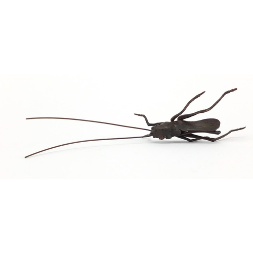 573 - Japanese patinated bronze cricket with articulated legs and antennas, 12cm in length