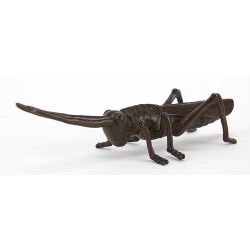 575 - Japanese patinated bronze locust, character marks to the underside, 11.5cm in length