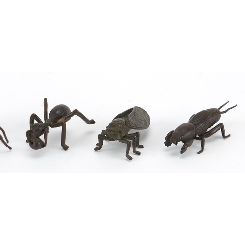 576 - Four Japanese patinated bronze insects and a tortoise, some with impressed character marks, the larg... 