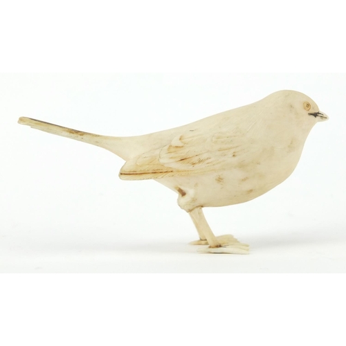 105 - Good 19th century ivory carving of a common bird, 10cm in length