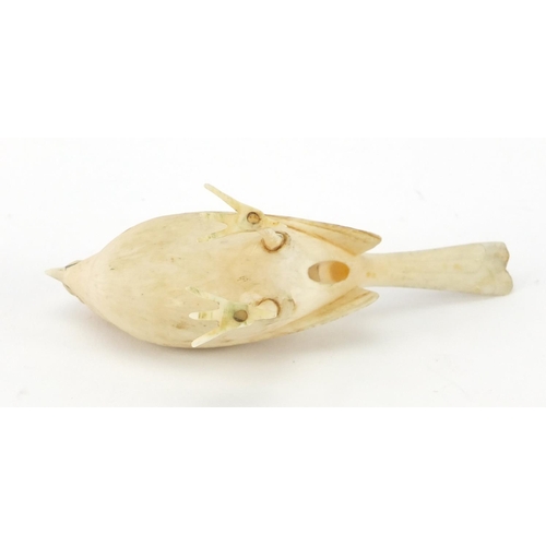 105 - Good 19th century ivory carving of a common bird, 10cm in length