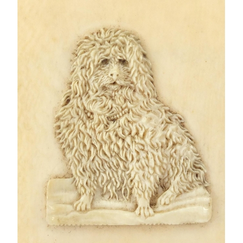 106 - 19th century ivory carving of a seated dog mounted on a rectangular ivory plaque, 10.5cm x 6.5cm