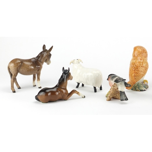 2566 - Nine Beswick animals including an owl, bullfinch and a fox, the largest 12cm high