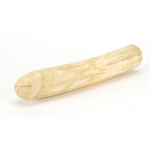 103 - Good antique carved ivory phallus, possibly Chinese, 27cm in length, approximate weight 515.0g