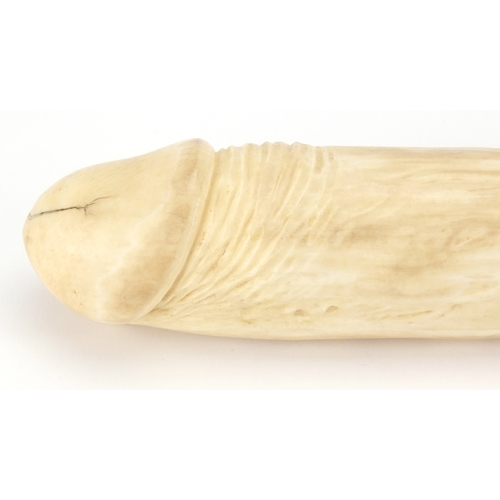 103 - Good antique carved ivory phallus, possibly Chinese, 27cm in length, approximate weight 515.0g